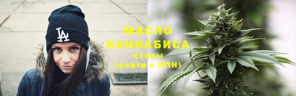 дмт Алексин